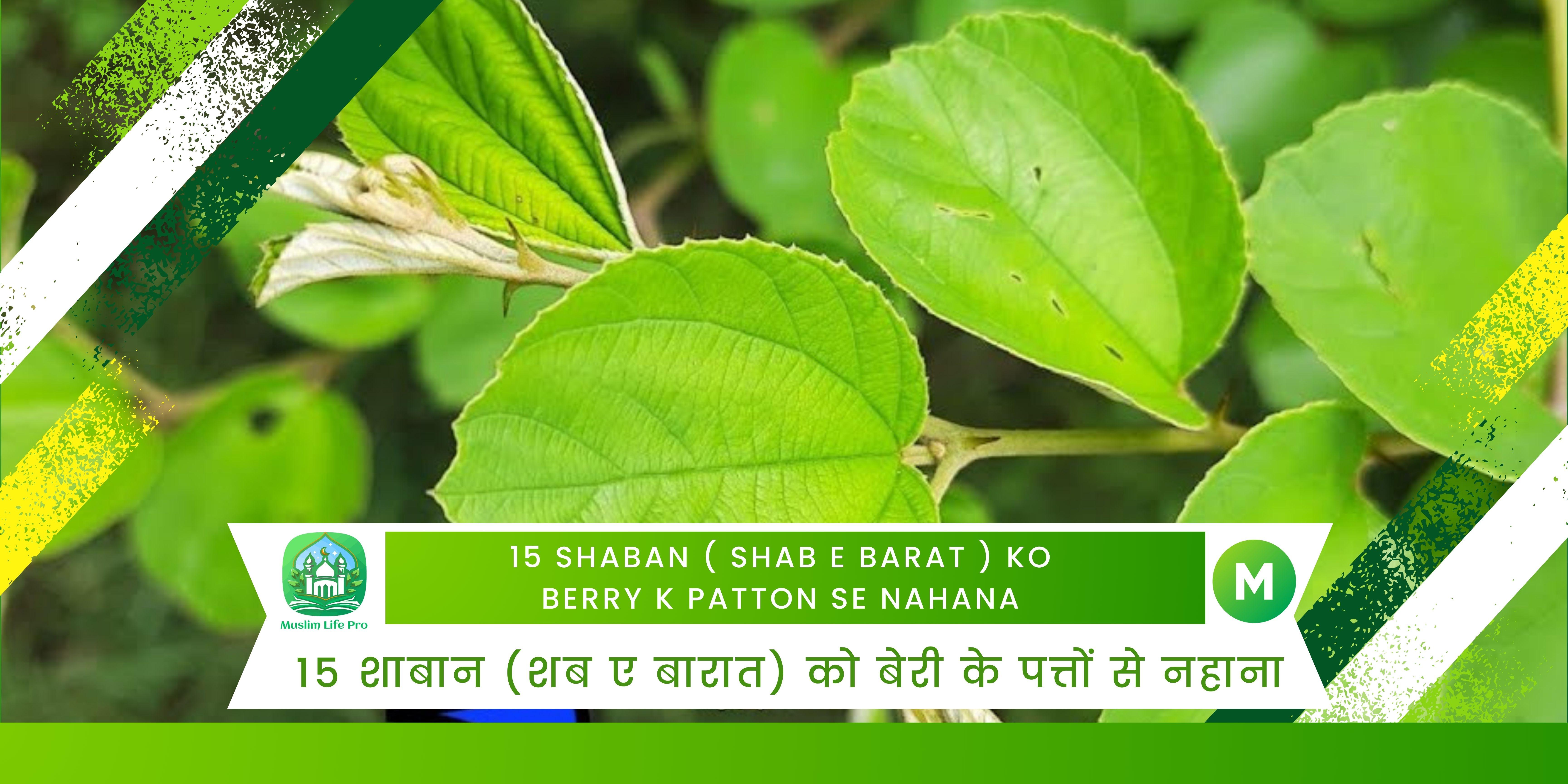 15 Shaban ( Shab e Barat ) Ko Berry K Patton Se Nahana / 15 शाबान (शब ए बारात) को बेरी के पत्तों से नहाना - Muslim Life...