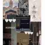 NAZISH FATIMA SHAIKH