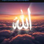 Ansari Shahnawaz Ansari