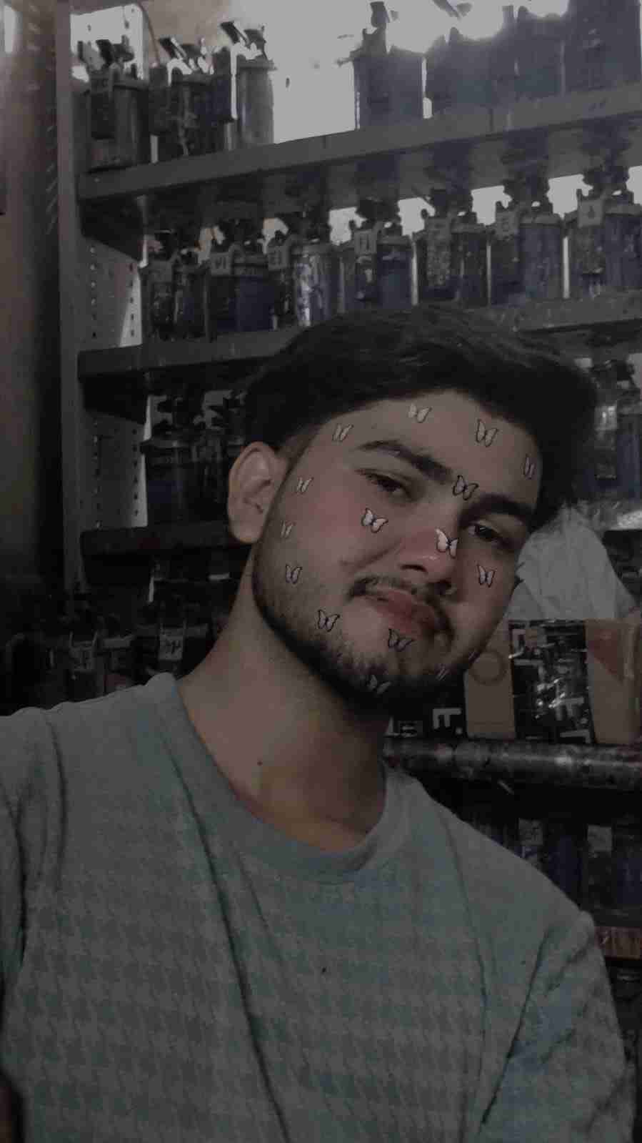 shane ali