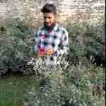 Mustakeem Ansari